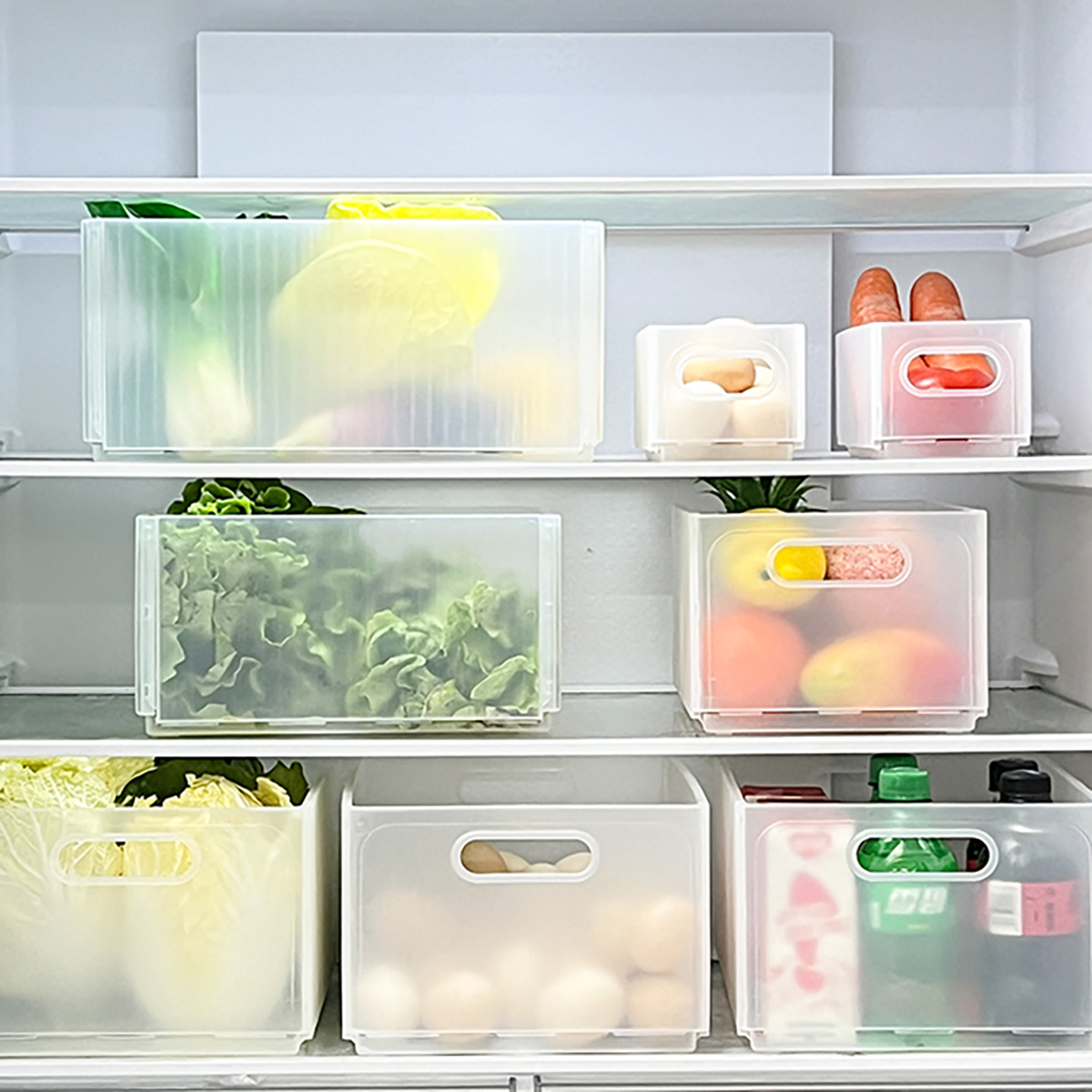 WORTHBUY Plastic Folding Fridg - Food Storage Without Plastic ulasan dan harga