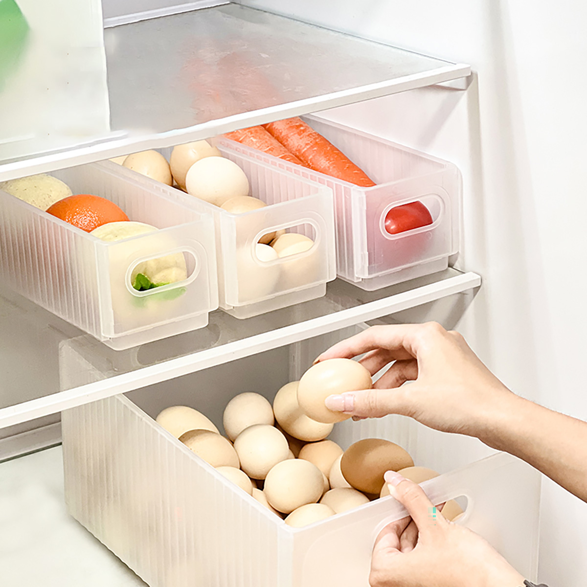 WORTHBUY Plastic Folding Fridg - Food Storage Without Plastic ulasan dan harga