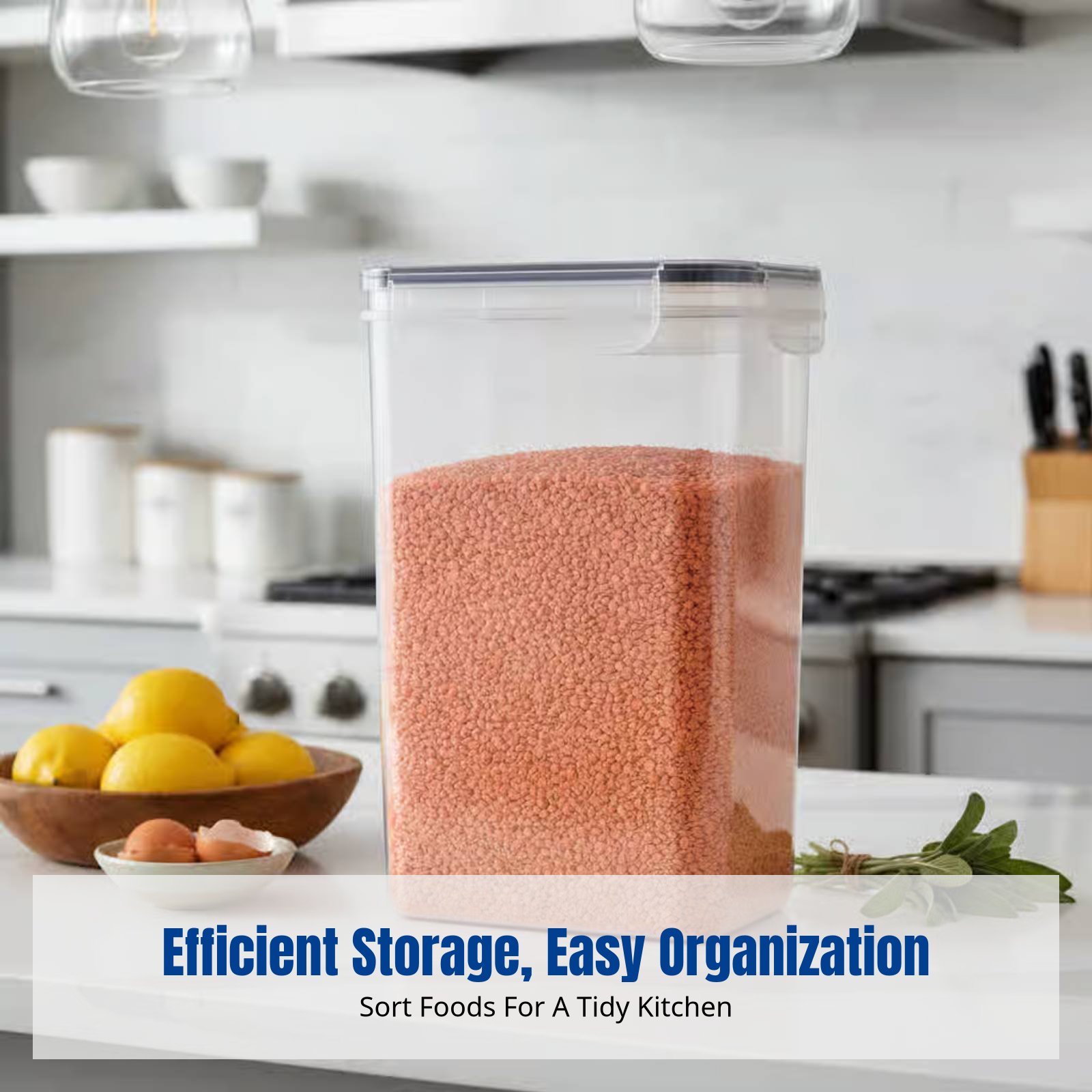 Airtight Food Storage Containe - Food Storage Plastic ulasan dan harga