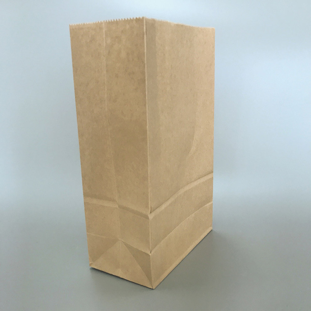 100pcs Kraft Paper Bag Small S - Food Storage Large ulasan dan harga