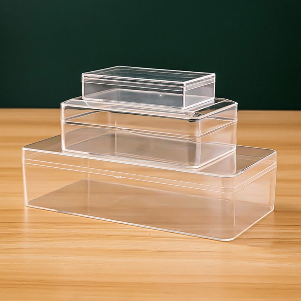Thickened Rectangular Plastic  - Food Storage Plant ulasan dan harga