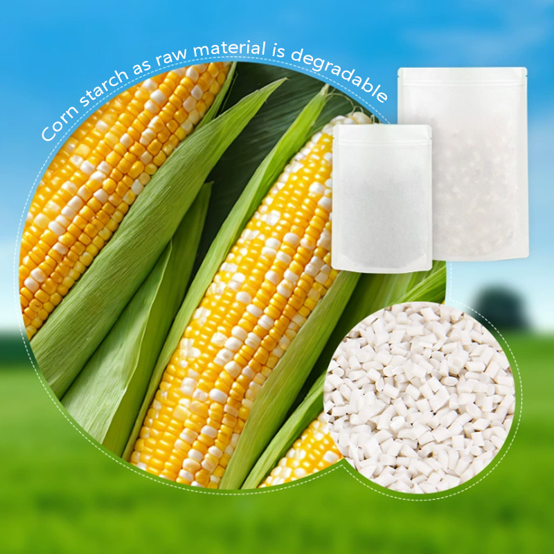 Customized Degradable Kraft Pa - Food Storage Plant ulasan dan harga