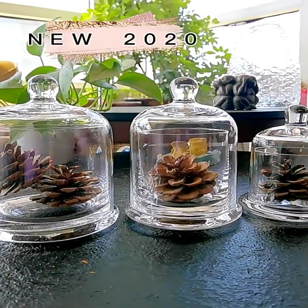 Glass Glass Storage Jar Eterna - Food Storage Plant ulasan dan harga