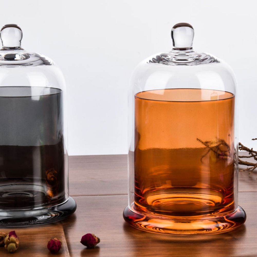 Glass Glass Storage Jar Eterna - Food Storage Plant ulasan dan harga