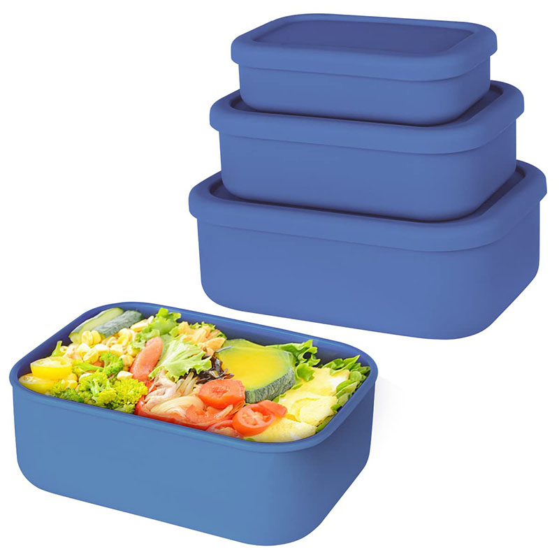 Leak-Resistant Bento Lunch Box - Food Storage Silicone ulasan dan harga