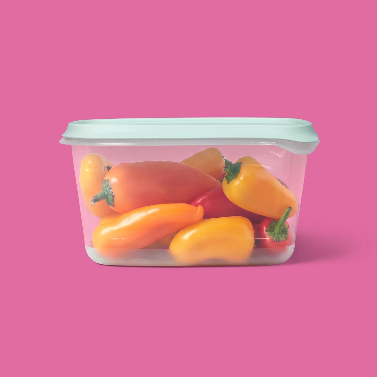 2026 New 2 Pack 48oz Large Rec - Food Storage Large ulasan dan harga